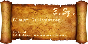 Blayer Szilveszter névjegykártya